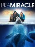 voir la fiche complète du film : Big Stone Gap
