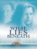 voir la fiche complète du film : What\ s Up?