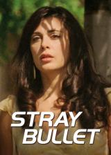 voir la fiche complète du film : Stray Bullet