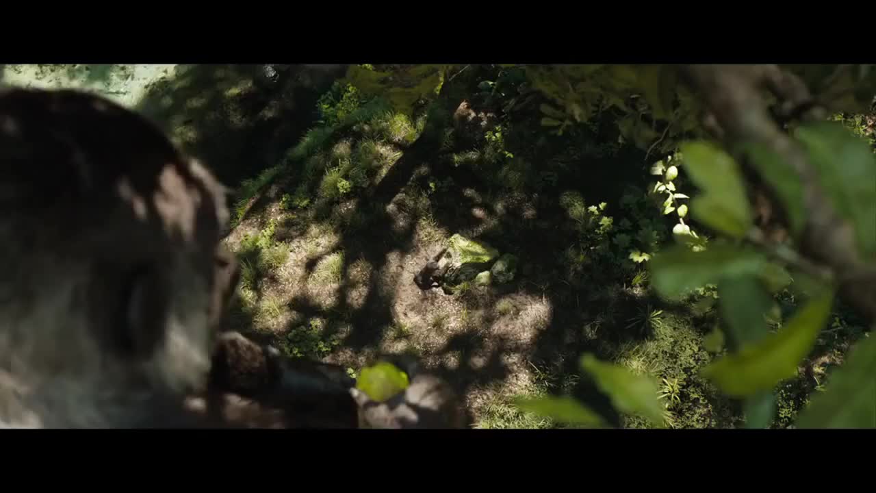 Un extrait du film  Le Seul et unique Ivan