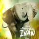 photo du film Le Seul et unique Ivan