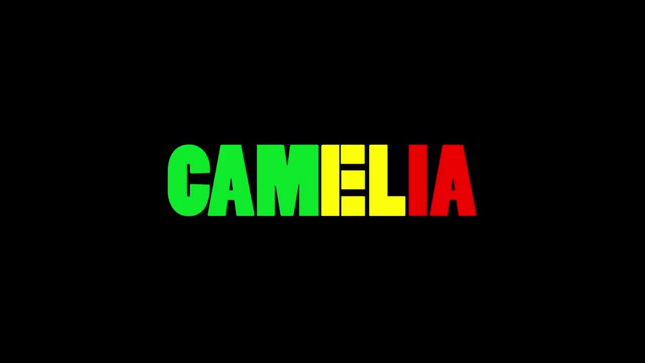 Extrait vidéo du film  Babylon