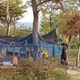 photo du film La Femme qui s'est enfuie