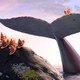 photo du film La Baleine et l'escargote