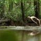 photo du film Un monde ailleurs