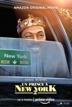 voir la fiche complète du film : Un prince à New York 2