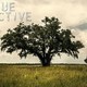 photo de la série True Detective