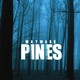 photo de la série Wayward Pines