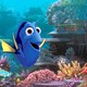 photo du film Le Monde de Dory