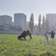 photo du film Swagger