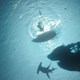 photo du film Pirates des Caraïbes - La vengeance de Salazar