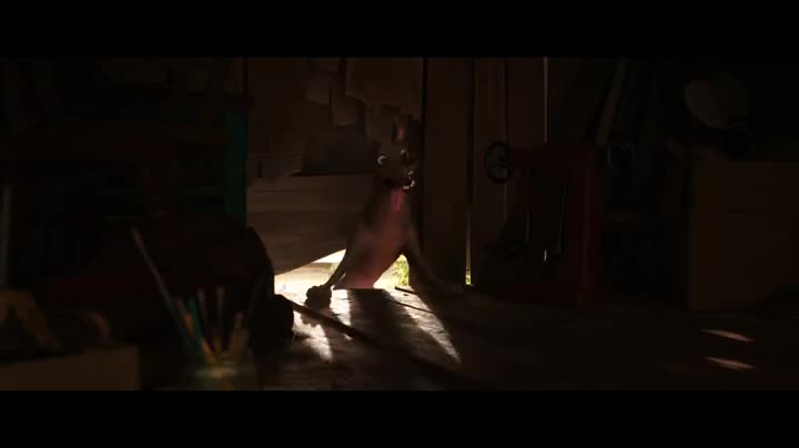 Extrait vidéo du film  Coco