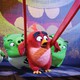 photo du film Angry Birds - le film