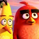 photo du film Angry Birds - le film
