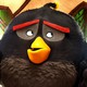 photo du film Angry Birds - le film