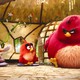 photo du film Angry Birds - le film