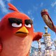 photo du film Angry Birds - le film