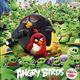 photo du film Angry Birds - le film