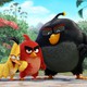 photo du film Angry Birds - le film