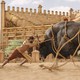 photo du film La Légende de Baahubali : 1ère Partie