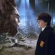 photo du film Harry Potter à l'école des sorciers