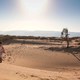 photo du film Theeb