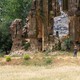 photo du film Chœurs en exil