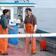 photo du film Manchester by the Sea