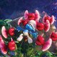 photo du film Les Schtroumpfs : le village perdu