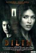 Dilim