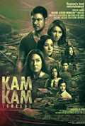 voir la fiche complète du film : Kamkam