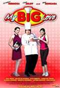 voir la fiche complète du film : My Big Love