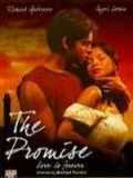 voir la fiche complète du film : The Promise