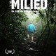 photo du film Milieu