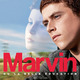 photo du film Marvin ou la belle éducation