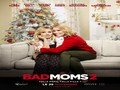 voir la fiche complète du film : Bad Moms 2