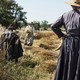 photo du film Les Gardiennes