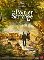 Le Poirier sauvage