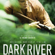 photo du film Dark River