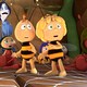photo du film Maya l'abeille 2 : les jeux du miel