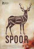 Spoor