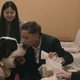 photo du film The Saint Bernard Syndicate