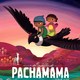photo du film Pachamama