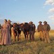 photo du film La Ballade de Buster Scruggs