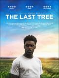 The Last Tree