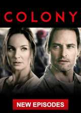 Colony