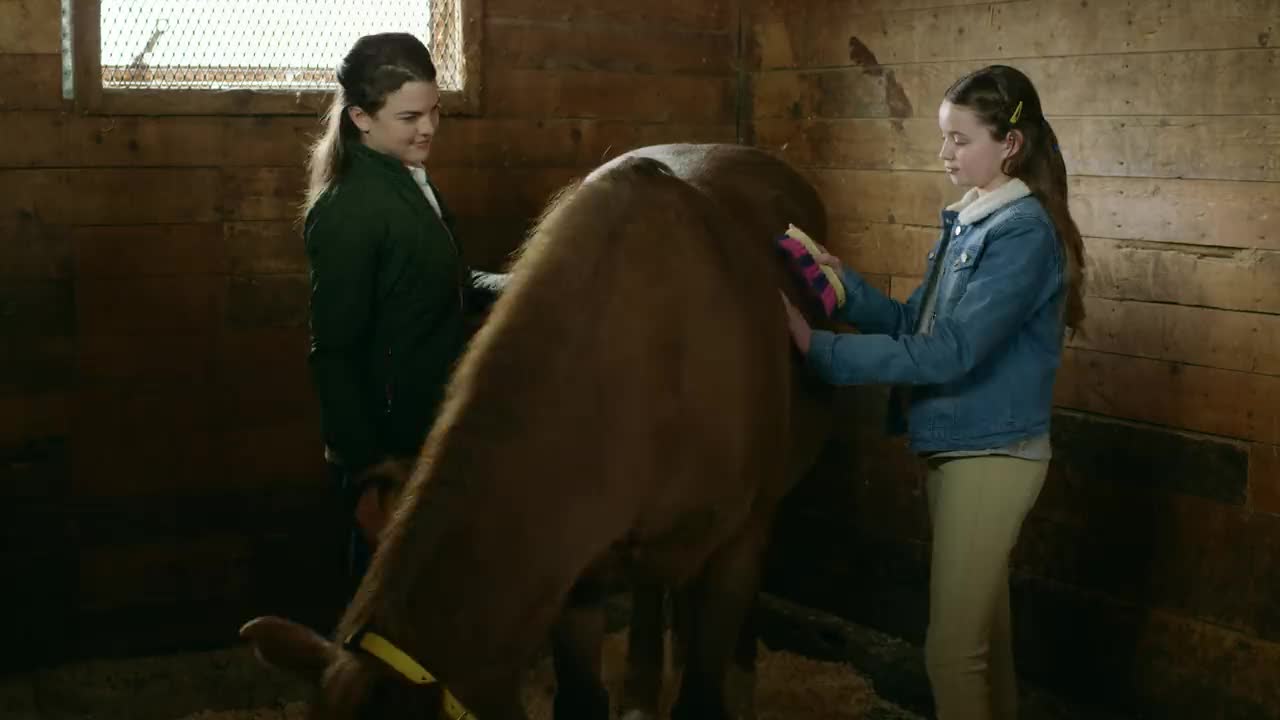 Extrait vidéo du film  Le club de la deuxième chance