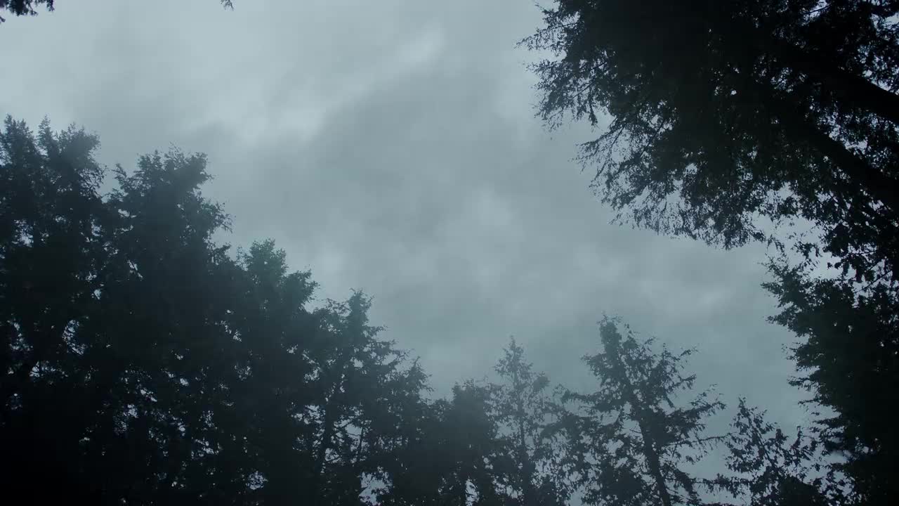 Extrait vidéo du film  Riverdale