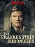 The frankenstein chronicles