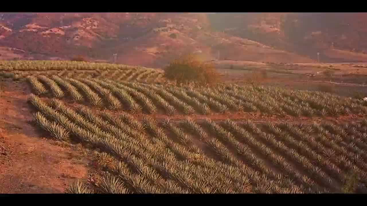 Un extrait de la série  Monarca